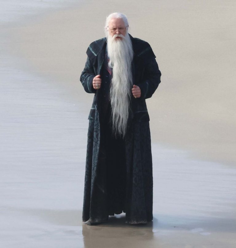 Dumbledore 2
